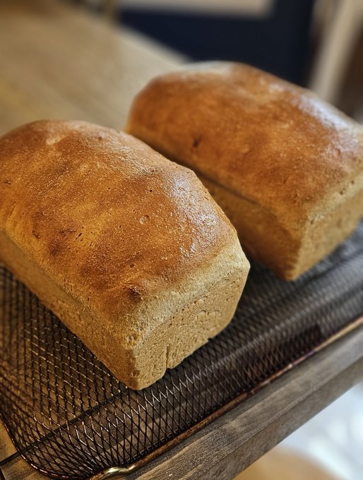 Two freshly baked loaves of golden-brown bread cooling on a wire mesh rack atop a wooden surface.