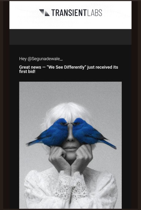 A screenshot showing 'TRANSIENT LABS' header and a message 'Great news — "We See Differently" just received its first bid!' above an image of a person with two blue birds covering their eyes.