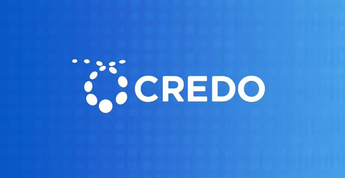 The image features a logo for a company called "CRDO Q4 EARNINGS" that is blue with white text. The logo displays the name of the company, which is written in white letters against a blue background. Below the logo, there are two lines of text providing information about the company's financial performance and guidance. These details include revenue, gross margin, operating income, and net income for the quarter.