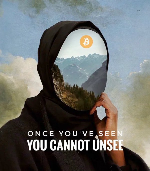 Stylized image of a hooded figure whose face is replaced by a mountain landscape with a Bitcoin logo, captioned 'ONCE YOU'VE SEEN YOU CANNOT UNSEE'.