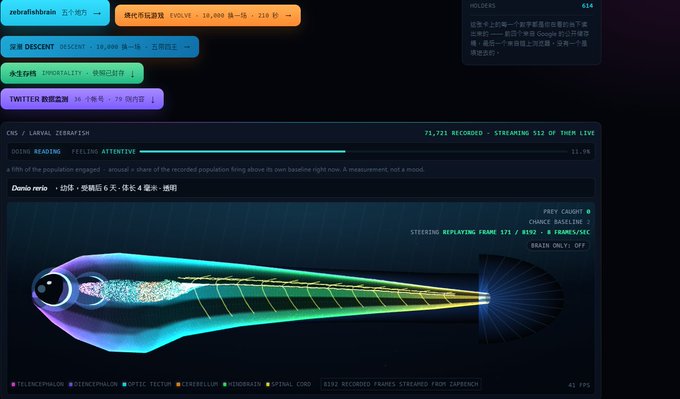 A neural activity visualization interface called ZERAFASH displaying live brain signal readings from a zebrafish, showing streamlines and various sensor data.