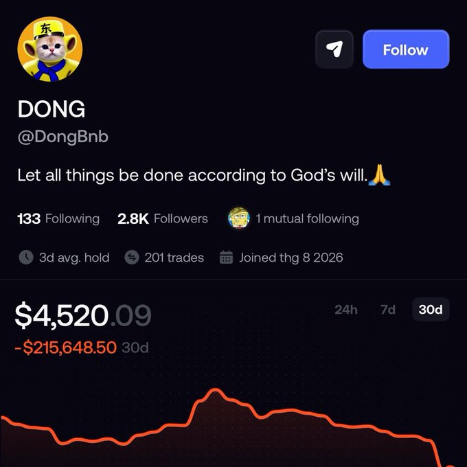 A social media profile for 'DONG' (@DongBnb) with a cat avatar wearing a construction hat, showing 2.8K followers, 201 trades, joined in Aug 2026, and a portfolio value of $4,520.09, down -$215,648.50 over 30 days with a red downward trend chart.