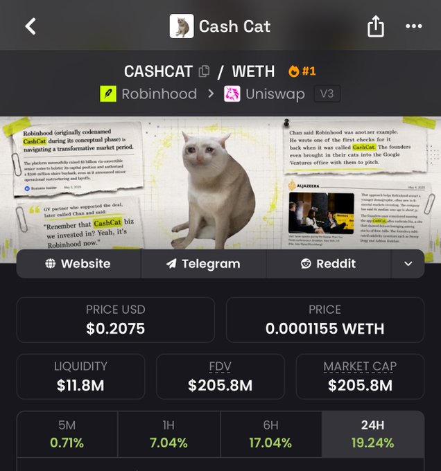 The image shows a crypto tracker page for "Cash Cat" (CASHCAT/WETH), ranked #1, with a current price of $0.2075 USD (0.0001155 WETH), a market cap and FDV of $205.8M, and liquidity of $11.8M, along with strong 24-hour gains of 19.24%. The post celebrating "$cashcat ATH" aligns with the screenshot, which captures the token hitting an all-time high, evidenced by its significant 5M (0.71%), 1H (7.04%), 6H (17.04%), and 24H (19.24%) price increases.