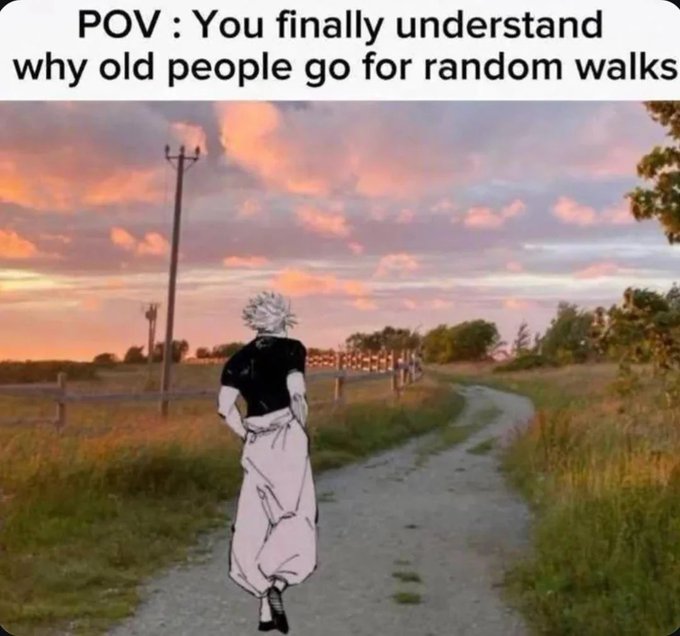 An anime-style meme showing a silver-haired character in a black shirt and white pants walking down a country path at sunset, captioned "POV: You finally understand why old people go for random walks."