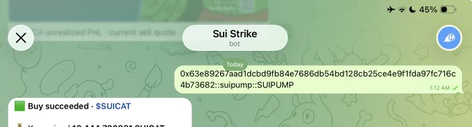 A Telegram conversation with "Sui Strike bot" displays a transaction showing a purchase of 0x63e89267aa1dcb9fb84e7686db54bd128cb25ce4e9f1fda97fc716c4b73682 tokens (SUIPUMP) at 1:12 AM, with a subsequent "Buy succeeded - $SUICAT" notification confirming the meme coin acquisition mentioned in the post.