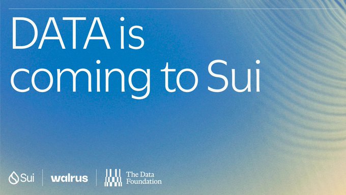 A promotional graphic with a blue background and water ripples reads 'DATA is coming to Sui', featuring logos for Sui, Walrus, and The Data Foundation at the bottom.