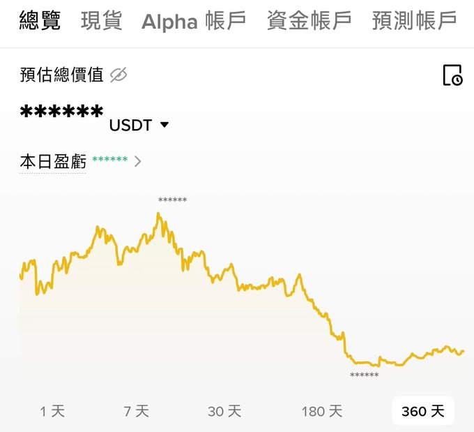 A cryptocurrency portfolio overview app screen in Traditional Chinese showing total estimated value in USDT, with a 360-day performance chart displaying a declining trend.
