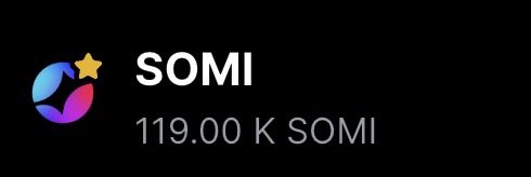 The image displays a screenshot of a phone screen containing an abstracted image with a star and the word "SOMI" written below it. Below this, there's some text that says " 119.00 $SOMI". The context appears to be related to a discussion or sharing about the value of the "SOMI" account when altseason arrives.