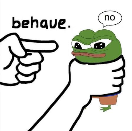 A meme showing Pepe the Frog looking sad in a white shirt, being scolded by a hand pointing at it with the text 'behave.' while Pepe says 'no'.