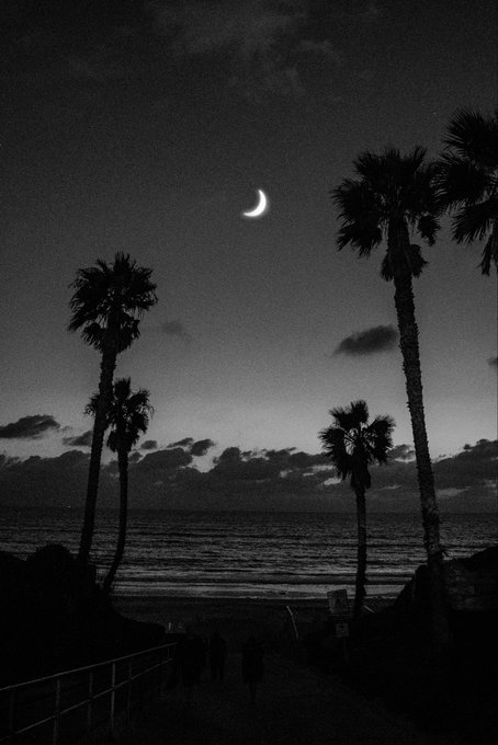 A black-and-white photograph of a crescent moon in the sky above silhouetted palm trees and the ocean at night.
