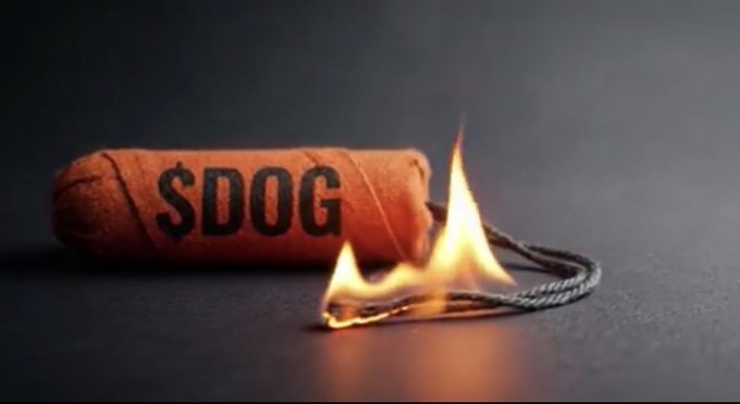 A 3D render of a stick of dynamite labeled '$DOG' with a lit, sparking fuse on a dark surface.