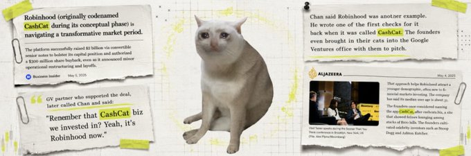 A white cat sits centrally among newspaper clippings about 'CashCat' (formerly Robinhood) and an Al Jazeera article, with highlighted text mentioning 'CashCat' and Google Ventures.