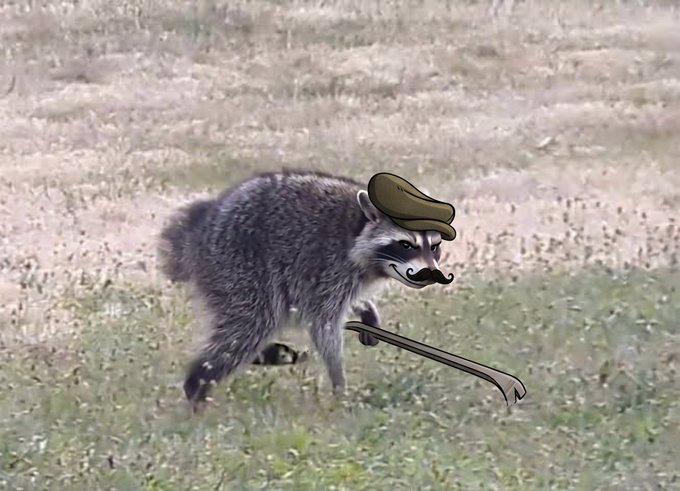 A raccoon walking across a grassy field has been comically edited with a cartoon mustache, monocle, and top hat, transforming it into a dapper gentleman — fitting for the whimsical French greeting "Bonjour, Le Jimothy."