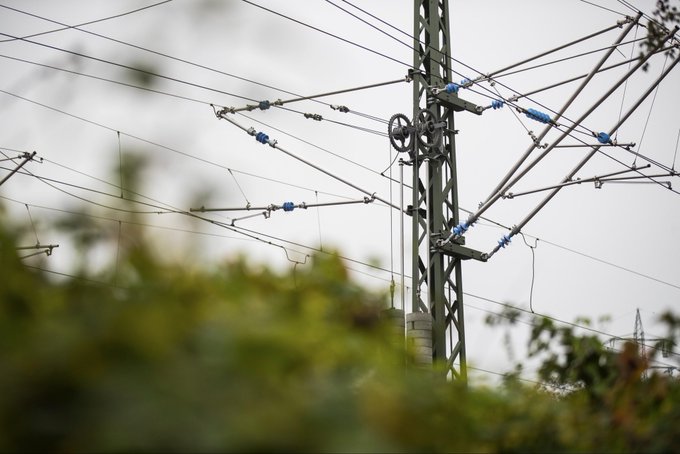 An electrical transmission tower with power lines against an overcast sky, viewed through foreground vegetation.