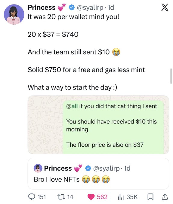 A screenshot of an X (formerly Twitter) post by user 'Princess 💕💕 (@syalirp)' discussing NFT earnings. The tweet reads 'It was 20 per wallet mind you! 20 x $37 = $740' and includes a reply asking about the 'cat thing' mint with a floor price of $37.