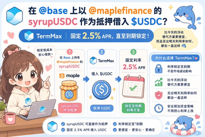 An infographic in Chinese explaining how to use @maplefinance's syrupUSDC as collateral on @base to borrow $USDC via TermMax at a fixed 2.5% APR, featuring an anime-style character and a blue mascot.