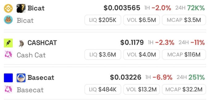The image displays a cryptocurrency tracking table showing three cat-themed tokens: Bicat ($0.003565, +72K% 24H), CASHCAT ($0.1179, -11% 24H), and Basecat ($0.03226, +251% 24H), with their market caps, liquidity, and volume stats. This visual aligns with the post about "cat season" in crypto, highlighting the surge of cat-named tokens like Bicat, CASHCAT, and Basecat amid recent market excitement.