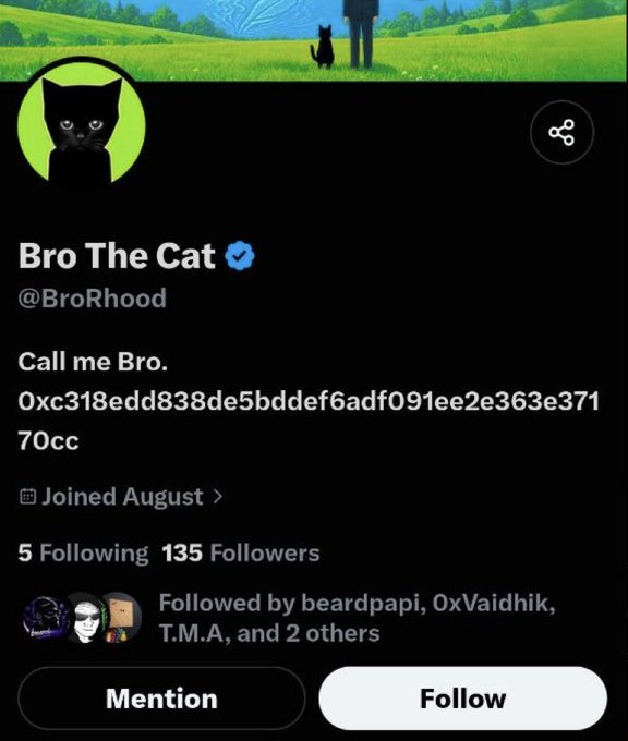 The image shows the Twitter/X profile of "Bro The Cat" (@BroRhood), verified with a black cat profile picture on a green background, displaying the bio "Call me Bro" alongside an Ethereum wallet address (0xc318edd838de5bddef6adf091ee2e363e37170cc), and has 135 followers. The caption "Something is cooking here" suggests an upcoming crypto/Web3 project announcement tied to BroRhood's on-chain identity.