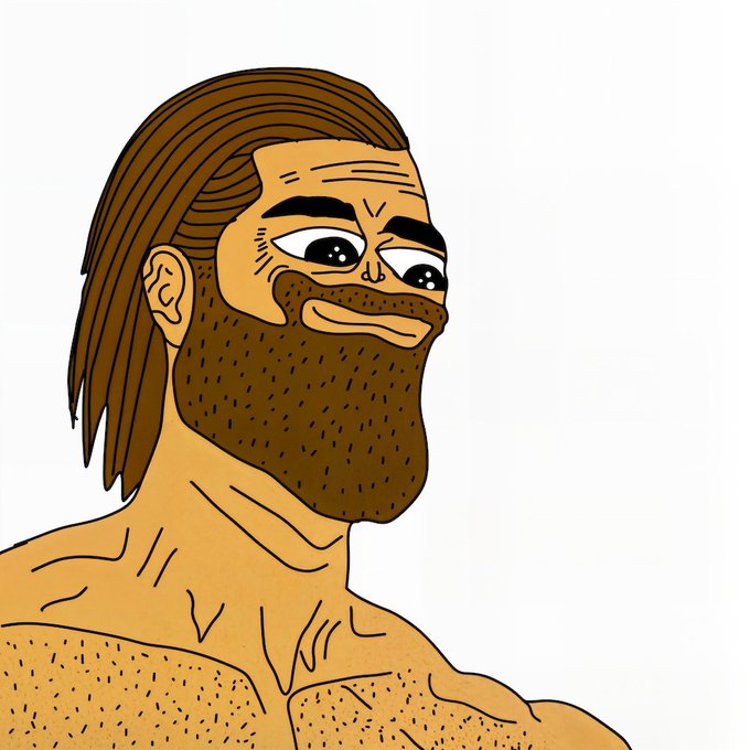 A cartoon illustration of a bearded, muscular man with long brown hair and a confident smile, styled in a memetic exaggerated manner often associated with crypto/internet culture. The image serves as a bold, attention-grabbing mascot for the "$BORINFUN" meme coin promotion on RobinHood, with the contract address 0x2f009d408CFda1eeBF01C513D8B617BeeB198E48.