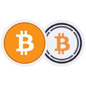 Two circular tokens featuring the Bitcoin 'B' symbol, one in solid orange and the other in white with an orange 'B' on a dark gray ring.