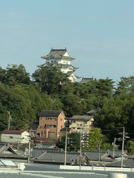 A traditional Japanese castle with white walls and tiered roofs sits atop a tree-covered hill, overlooking a small town with houses and rooftops below.