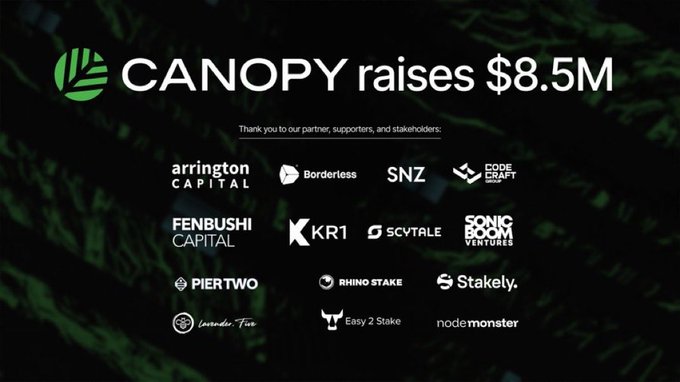 Canopy announcement graphic stating 'CANOPY raises $8.5M' with logos of partners including Arrington Capital, Borderless, SNZ, Fenbushi Capital, KR1, SCVTALE, Piertwo, Rhino Stake, and Stakely.