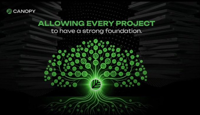 Promotional graphic for 'CANOPY' with the tagline 'ALLOWING EVERY PROJECT to have a strong foundation,' featuring a glowing green tree made of coins.