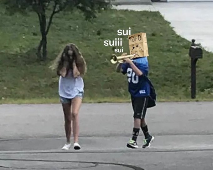 A meme image showing a person with a cardboard box on their head playing a trumpet next to a woman, with the text 'sui suiiii sui' overlaid.