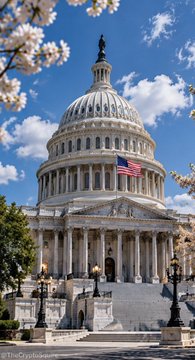 The United States Capitol Building in Washington D.C. with its iconic white dome and American flag, framed by cherry blossoms in bloom.