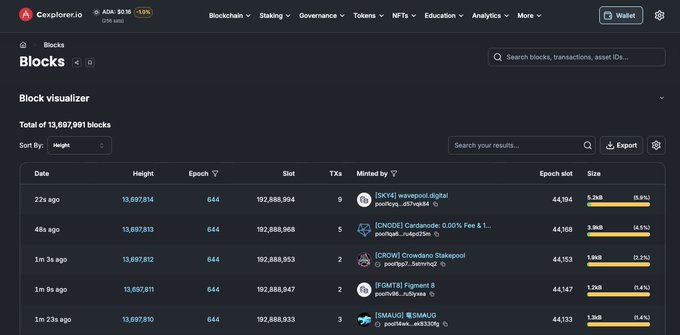 A screenshot of the Cexplorer.io blockchain explorer (ADA at $0.36, -3.03%) showing the Blocks page with a list of recent Cardano blockchain blocks, transactions, and epochs.