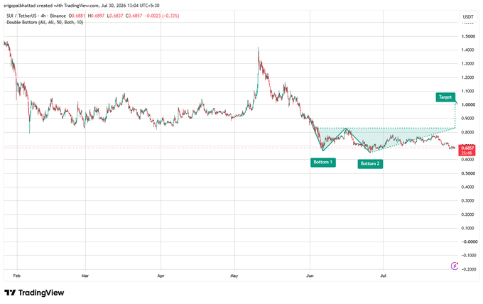 TradingView chart showing SUI/USDT 4h on Binance with a Double Bottom pattern marked, displaying price levels at 0.6897 and a target near 0.90.