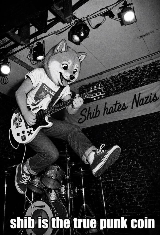 The image features a person dressed up as a Shiba Inu dog, playing an electric guitar at a concert or event. The Shiba Inu dog character is wearing a t-shirt with "Volkswagen" written on it. The background of the image shows a stage and speakers, indicating that this might be a live performance. The caption to the image reads: "Shib is the true punk coin".