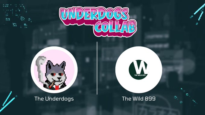 A promotional graphic announcing the "UNDERDOGS COLLAB" between The Underdogs, represented by a pixelated husky with a scythe, and The Wild 899, featuring their green "W" logo, set against a dark blue background. The image highlights the partnership mentioned in the post, where The Wild 899 is bringing 899 Monkes to Robinhood Chain.