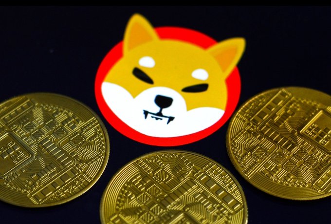 The Shiba Inu dog logo for the cryptocurrency token displayed on a red circular background, surrounded by gold physical cryptocurrency coins.