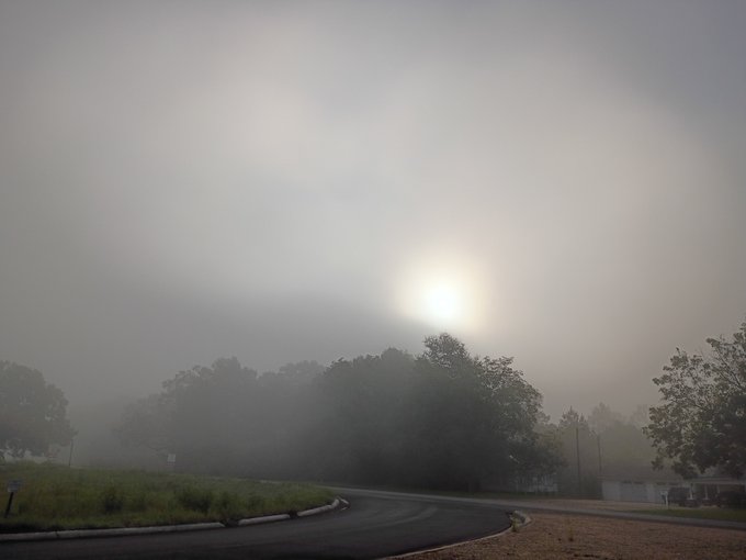 A photograph of a foggy landscape featuring a curved paved road, silhouetted trees, a hazy sun in a gray sky, and a small body of water in the background.