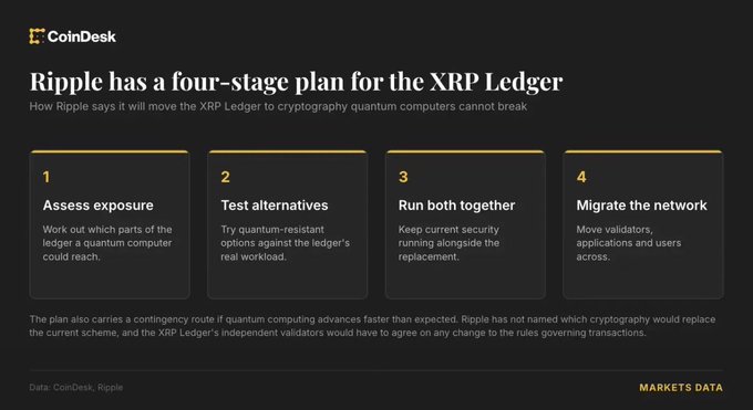 CoinDesk infographic detailing Ripple's four-stage plan to transition the XRP Ledger to quantum-resistant cryptography: (1) Assess exposure, (2) Test alternatives, (3) Run both together, and (4) Migrate the network—aligning with the post's emphasis on Ripple's proactive preparation for the quantum era rather than reactive measures.