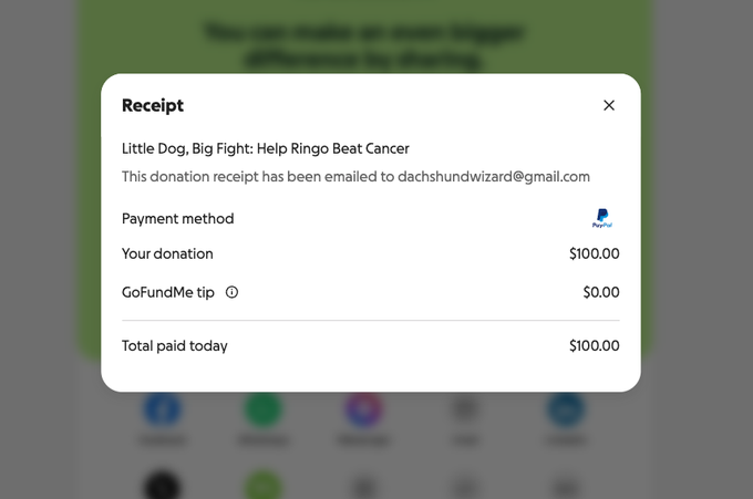 A GoFundMe donation receipt showing a $100.00 donation made via PayPal to 'Little Dog, Big Fight: Help Ringo Beat Cancer', with the receipt emailed to dachshundwizard@gmail.com.