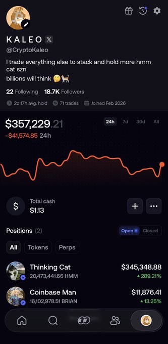 The image shows a crypto portfolio screenshot from user KALEO (@CryptoKaleo) displaying a 24h balance of $357,229.21 with open positions in "Thinking Cat" ($345,348.88 in $HMM at +289.21%) and "Coinbase Man" ($11,876.41 in $BRIAN at +13.25%), supporting his post's bullish stance on $HMM.