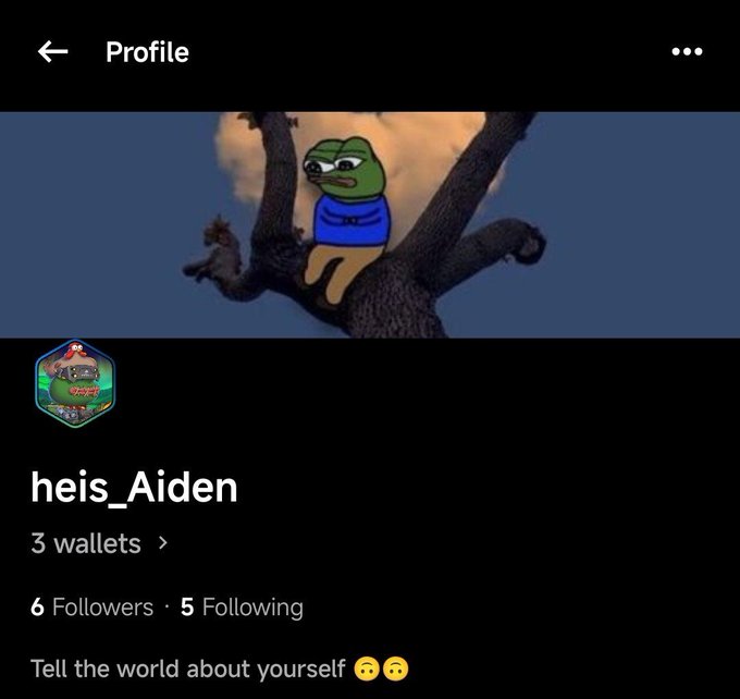 A profile page for user 'heis_Aiden' on what appears to be a crypto/NFT platform, showing 3 wallets, 6 followers, 5 following, and a Pepe the Frog avatar against a Burning Tree background.
