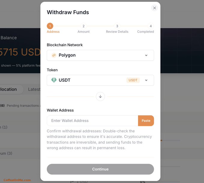 A cryptocurrency withdrawal interface displays a four-step process (Address, Amount, Review Details, Completed) with the Polygon network selected and USDT chosen as the token to withdraw.