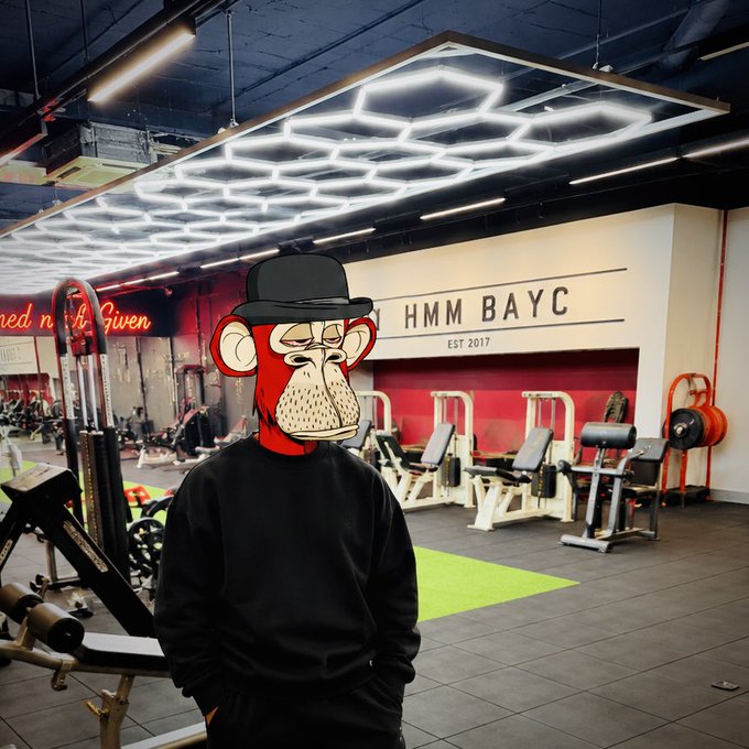 A person standing in a gym wearing a black sweatshirt and a Bored Ape Yacht Club (BAYC) NFT monkey hat, with the wall behind them reading 'HMM BAYC EST 2017'.