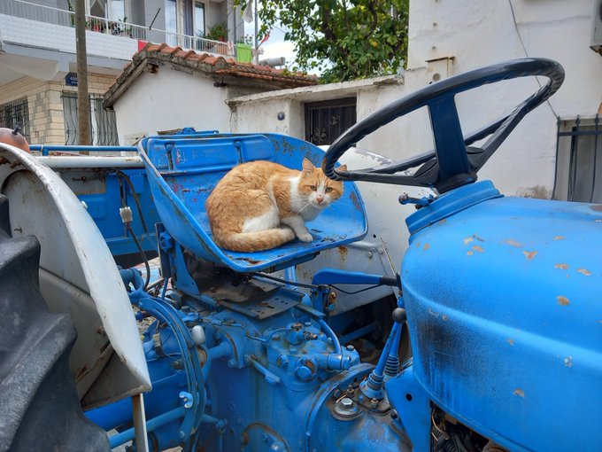 An orange tabby cat lounges comfortably on the blue seat of an old, weathered tractor with a black steering wheel, appearing relaxed in what looks like a residential courtyard. The scene ties into the "#bobacatDay 1288 $boba" post by showing the cat (likely "Boba") claiming a cozy, unconventional resting spot as part of its daily adventures.