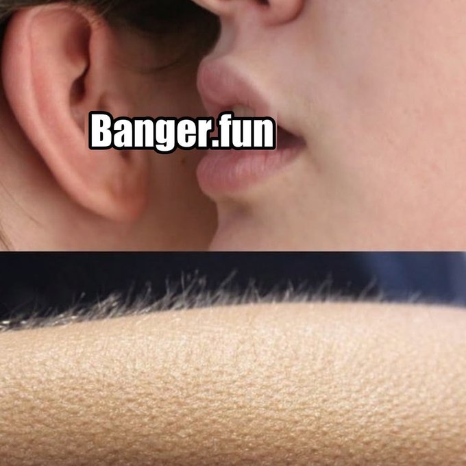 A meme image showing two close-up photos: a person whispering in someone's ear on top and a close-up of hairy skin on the bottom, with text "Banger.fun" overlaid.