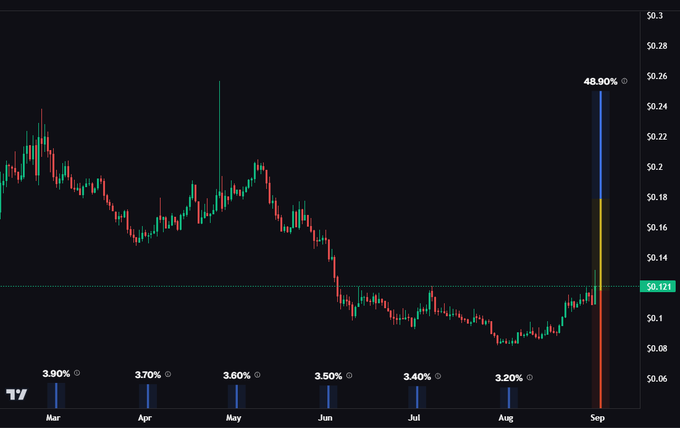 A financial candlestick chart showing stock price movement from March to September, ending with a significant 48.90% drop to around $0.121, with percentages of 3.90% to 3.20% displayed along the bottom.
