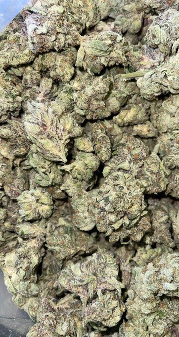 A close-up photograph of dried, textured green cannabis buds piled together.