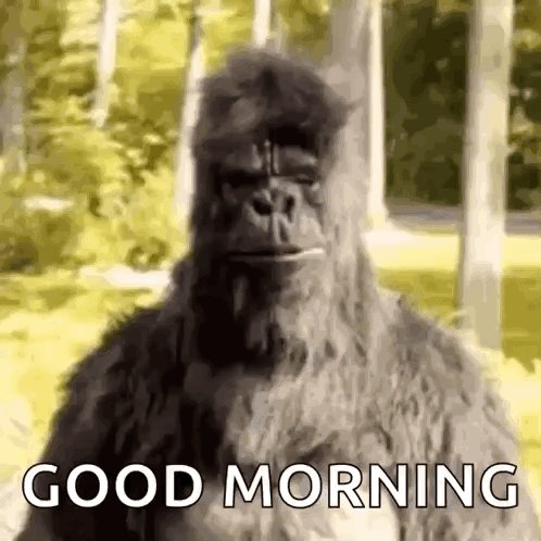 The image features a large gorilla with a big smile, standing against a background of trees. The gorilla appears to be wearing a mask or costume that gives it a unique appearance. Below the gorilla's head, there is text that reads "Good morning". This suggests that the image might have been taken during an event or gathering where the gorilla was part of a performance or promotional activity related to mornings or good mornings.