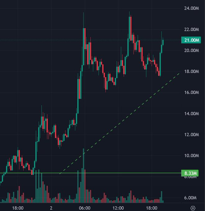 A candlestick chart shows the price action of $CATE surging roughly 250% from approximately 8.33M to a high near 24M, with a dashed trendline supporting the rally and volume bars spiking during the breakout. The chart visualizes the rapid memecoin pump referenced in the post, highlighting the well-orchestrated run-up.