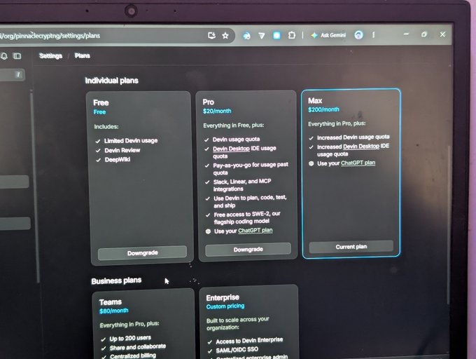 Screenshot of an Individual plans pricing page showing Free, Pro ($20/month), and Max ($200/month) subscription tiers with their respective features, along with Business plans for Teams ($80/month) and Enterprise.