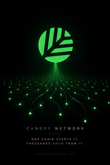 The image features a poster for Canopy Network, which promotes the use of blockchain technology for creating digital assets. The poster includes a green circle with a white line through it, symbolizing the creation process of a digital asset using blockchain technology. Below this design element is a quote from Canopy Network founder, who says that "if I had to describe @CNPYNetwork in one sentence, I'd say this: Canopy Network turns blockchain creation into something that can be launched in minutes". The poster also includes the website address for Canopy Network and the name of their organization.