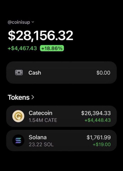 A crypto portfolio screenshot showing a balance of $28,156.32 (+$4,467.43, +18.86%) under the handle @coinisup, with holdings in Catecoin ($26,394.33) and Solana ($1,761.99, 23.22 SOL). The image appears to support a post claiming to send SOL to the first 1,200 commenters, as a supposed "proof" of the giveaway holder's crypto assets.